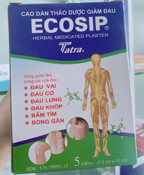 Cao dán Ecosip Cool