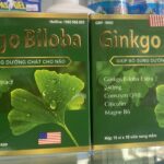 Ginkgo biloba 240mg