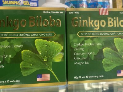 Ginkgo biloba 240mg